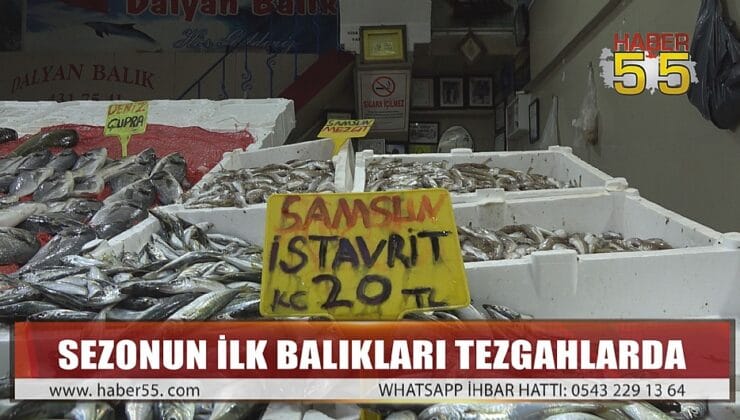 AĞLARA EN ÇOK TAKILAN BALIK İSTAVRİT OLDU