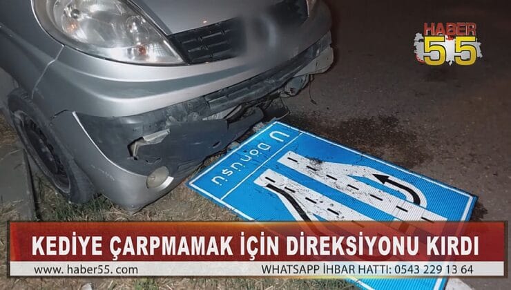 SAMSUN’DA KEDİNİN SEBEP OLDUĞU KAZADA 2 KİŞİ YARALANDI