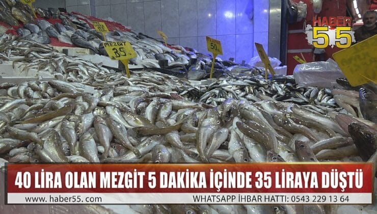 HAMSİYİ PAHALI BULAN VATANDAŞLAR MEZGİTE YÖNELDİ