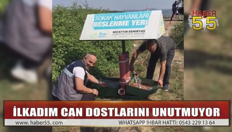 İLKADIM’DAN CAN DOSTLARINA SU VE MAMA TAKVİYESİ