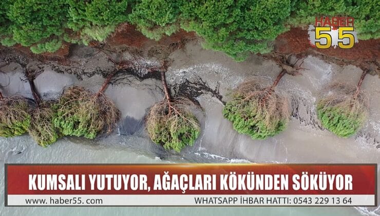 SAMSUN’DA KIYI EROZYONU SAHİLİ TAHRİP ETTİ