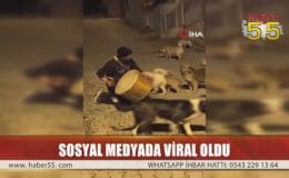 SOKAK HAYVANLARI İLE BİRLİKTE VATANDAŞLARI SAHURA KALDIRIYOR