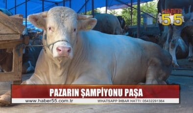 Kurban pazarlarında sıkı pazarlıklar sürüyor