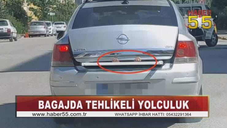 Bagajda tehlikeli yolculuk