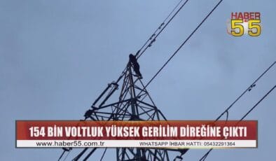 Samsun’da 154 bin voltluk elektrik üreten hatta can pazarı