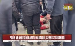 Kasıtlı olarak aracıyla çarptığı polis ve annesini yaralayan minibüs sürücüsüne adli kontrol