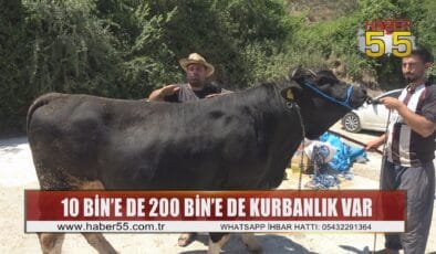 Samsun’da Kurban Pazarı’nda satışlar başladı