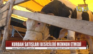 Kurban Pazarında satışlar düşük, üreticiler sıkıntıda