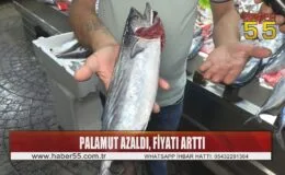 Soğuk suları tercih eden palamut avı hız kesti