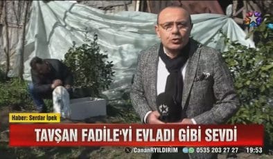 Ölen tavşanına mezar yaptırdı