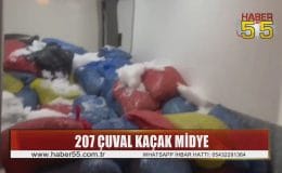 Samsun’da 3,8 ton kaçak avlanmış midye ele geçirildi