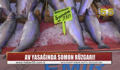 Balık tezgahlarında çiftlik balıkları başrolde