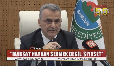 İlkadım’da 9 köpeğin ölümü ile ilgili tartışması büyüyor: Başkan Kurnaz suçlamalara karşı çıktı