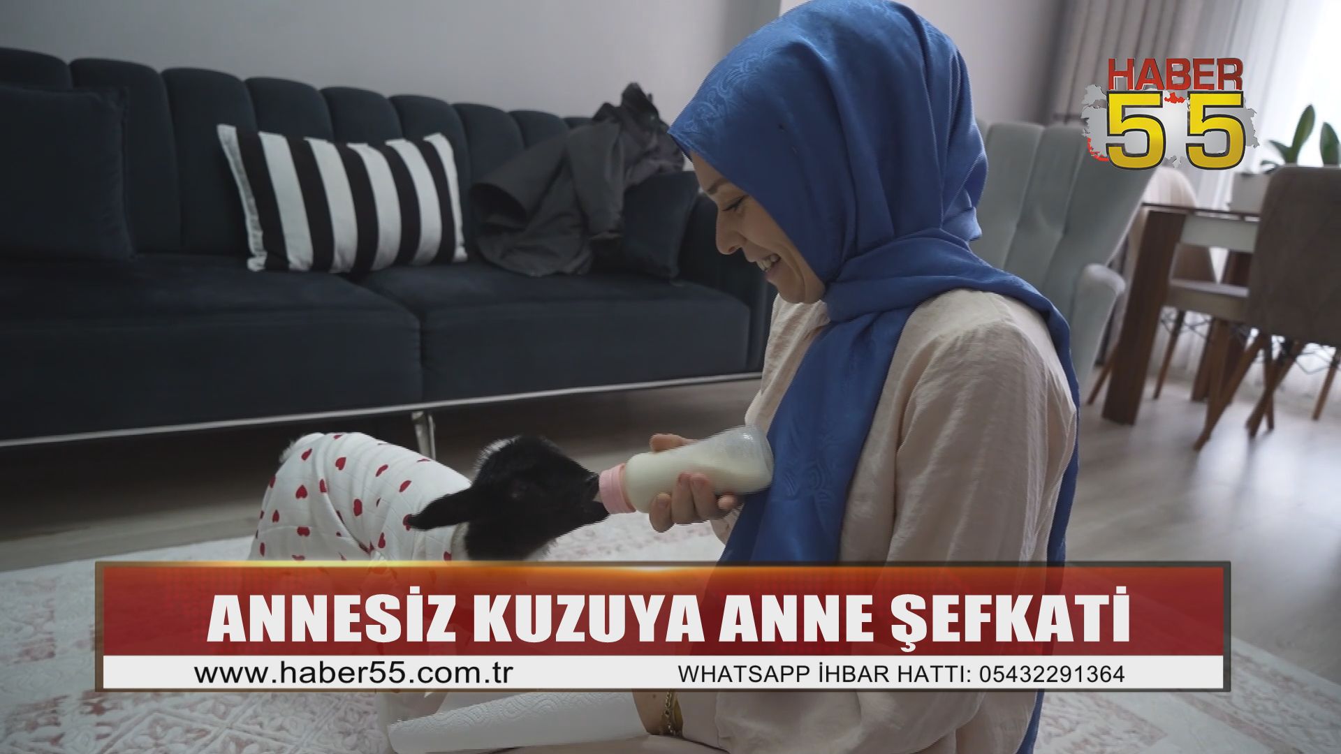 Samsun’da Yürek Isıtan Hikaye: Bir Kuzuya Anne Oldu
