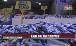 Samsun’da Ramazan Bereketi: Balık Satışları Gün Geçtikçe Artıyor