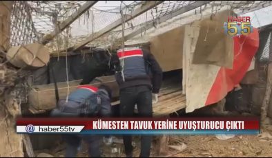 Samsun’da Kümeste Saklanan Uyuşturucuya Jandarma Darbesi