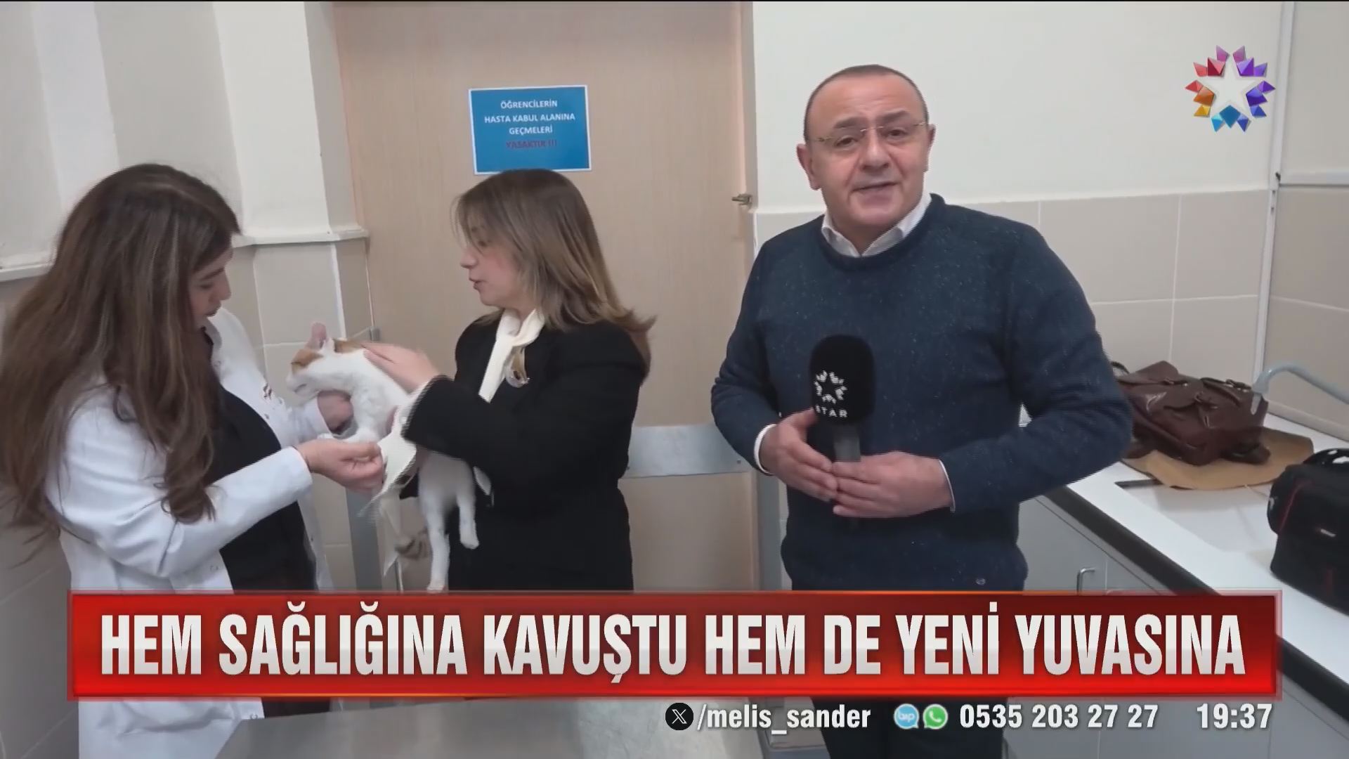 Ne hekim umudunu kaybetti ne de minik kedi