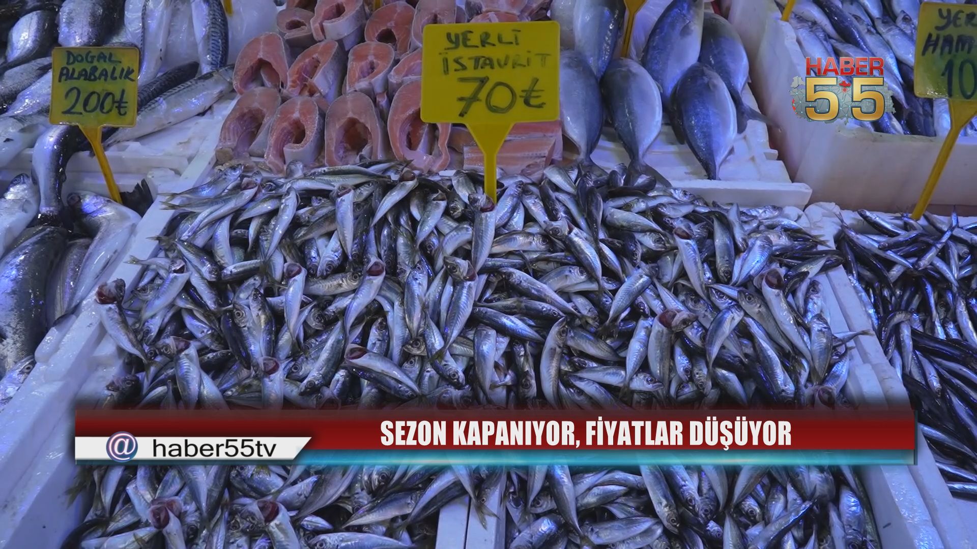 Av Yasağı Öncesi Balık Bolluğu: İstavrit 70 TL